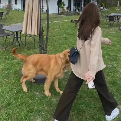 猛鬼街6